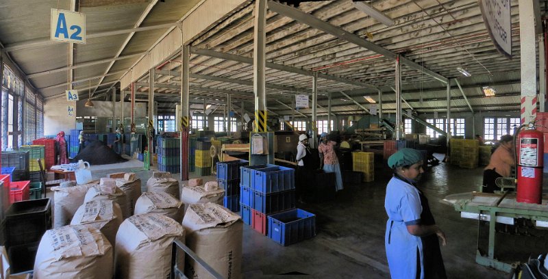 F (13) Packing floor - Blue Field Tea Factory.jpg